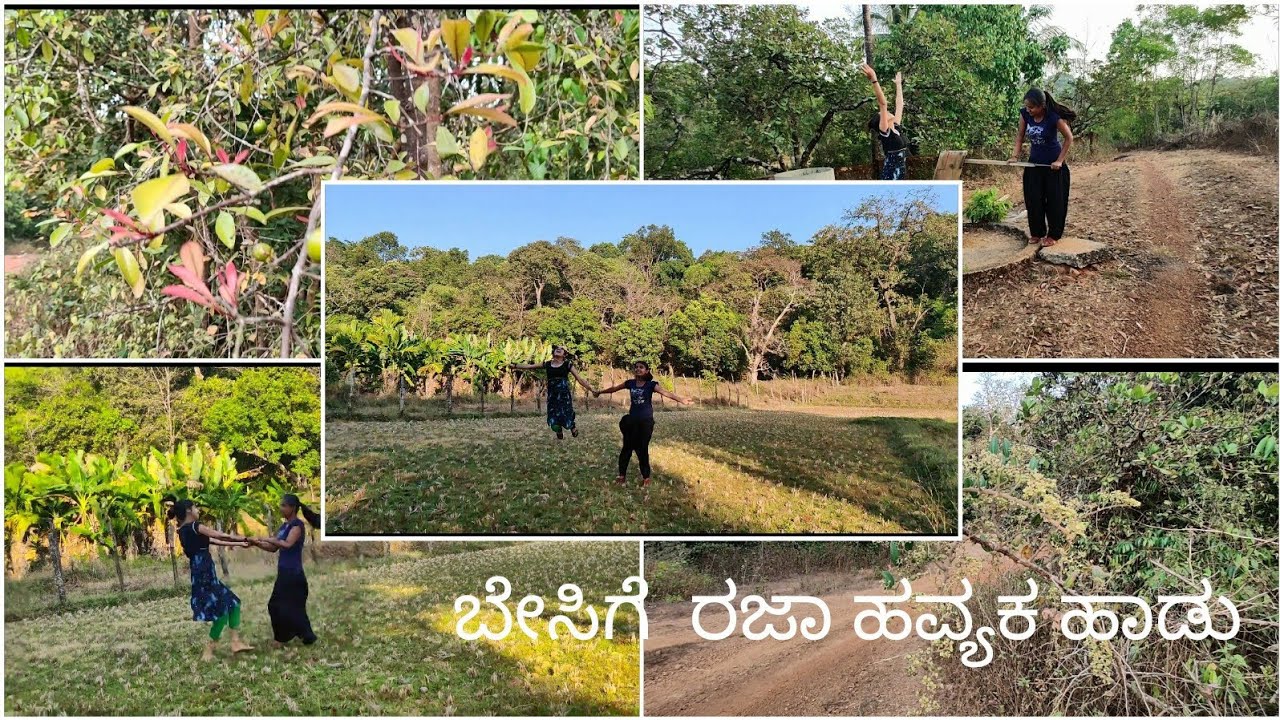 ಬೇಸಿಗೆ ರಜಾ ನಮಗೆ ಮಜಾ ಹಾಡು#  havyaka  / ಹಳ್ಳಿ vlog # song about summer holiday  Enjoyment