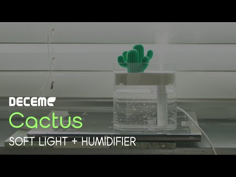 디셈 CACTUS 선인장 가습기 SOFT LED LIGHT + HUMIDIFIER