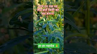 मरते दम तक यह तीन बातें किसी को मत बताना #tatadigital #techmahindra