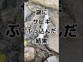 湖にサビキ仕掛けをぶっ込む #shorts #釣り