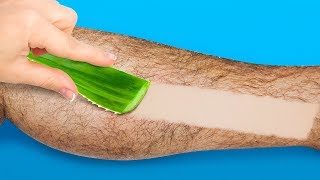 15 NATURAL ALOE REMEDIES YOU MUST KNOW