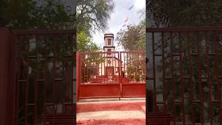 VALLE DE ELQUI - PERALILLO #travel #chile #peralillo #valledelelqui #holiday #turismo #vicuña