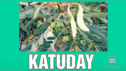 KATUDAY Ilocano Song with Lyrics & English Subtitle Music Video Covered by Lakay Islao fr Lupao