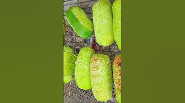 Banh chuối nếp nướng nước cốt dừa #shorts