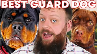 TOP GUARD DOGS FOR A FAMILY