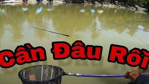 Mê Câu Cá 79 | Review sơ Hồ câu đơn đài mới tại Nha Trang- Khánh hòa |Hồ Câu Nhật Anh