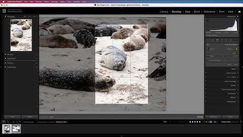 7 Lightroom Cropping Hacks