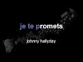 Johnny Hallyday Je Te Promets Lyrics Paroles Letra mp3
