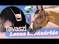 TAVASZI LOVAS BEVÁSÁRLÁS - Samshield, HKM, Stübben | RIBBON RIDER