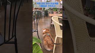 이퀄의 카페여행(인천메타포리스트)