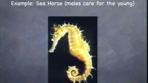 Lecture 21. Sexual Selection (Biology 1B, Fall 2010, UC Berkeley)