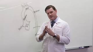 Jason Glotzbach, MD Thoracic Aortic Aneurysm Disease