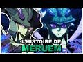 Histoire de meruem hunter x hunter 