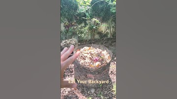 My Simple and Effective Backyard Composting System, Soil Machine of Nutrients!