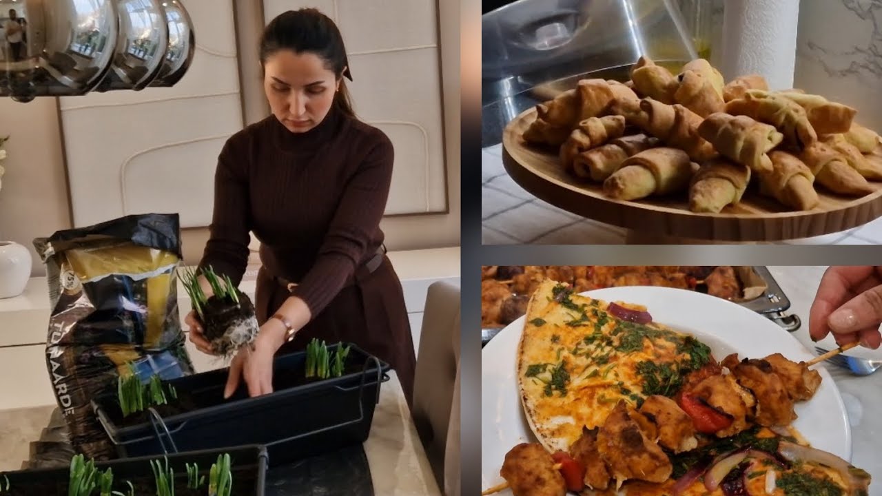 روتيني هادئ في هولندا | زراعة، قهوة، وكروسان دافئ