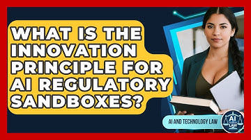 What Is The Innovation Principle For AI Regulatory Sandboxes? - AI and Technology Law