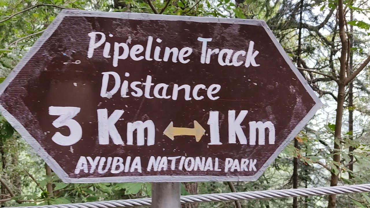 Pipeline Trek Ayubia | Dunga Gali Trek | Pipeline Trek Tunnel | Travel Treats PK