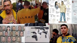 Almighty Latin Kings History (Chicago)