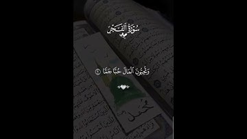 سورة الفجر #القرآن_الكريم #اكسبلور #المصحف #لايك