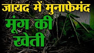 Moong Farming | Zaid Crops | जायेद में मूंग की खेती होगी मुनाफेमंद