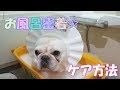 シワのお手入れにはコレがオススメ☆お風呂密着【フレンチブルドッグ】