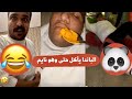 سناب بوريان الباندا كسر الدنيا بوعمرة إنضرب من الشمراني سناب بوريان الباندا كسر الدنيا بوعمرة إنضرب من الشمراني