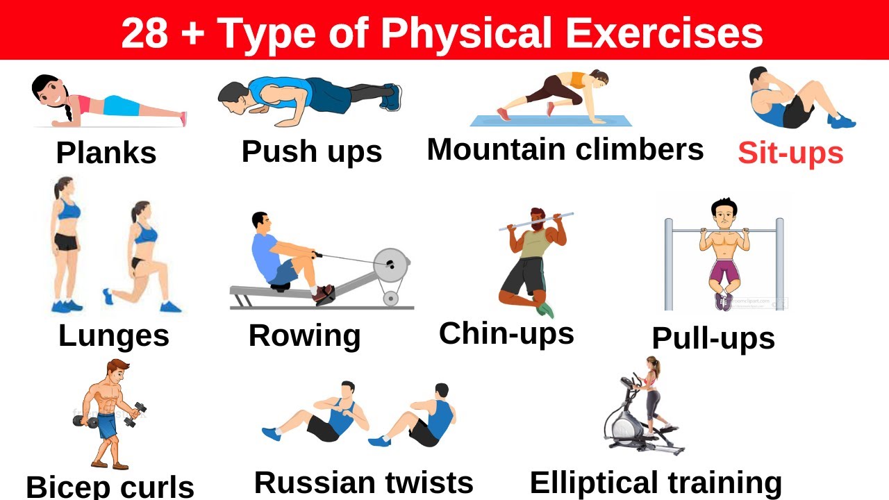 Lesson 26: Learn 28 types of physical exercises for daily training