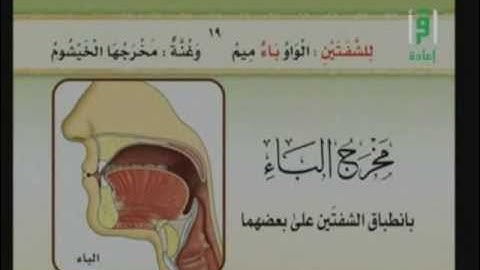 رابعا : مخرج الشفتين وفيه حروف ( الفاء - الباء - الواو- الميم ) برنامج الاتقان لتلاوة القران