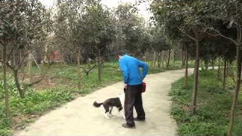 Jimmy WL8 Exc P1 Exc2 reduce latency of a behavior