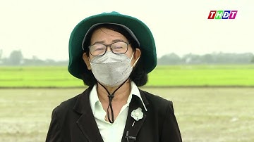 Diệt ốc bươu vàng - Nên Phun hay nên rải - Cây Khoẻ - Nhà Nông Khoẻ - THĐT kỳ 13 !  5 - 12-2021