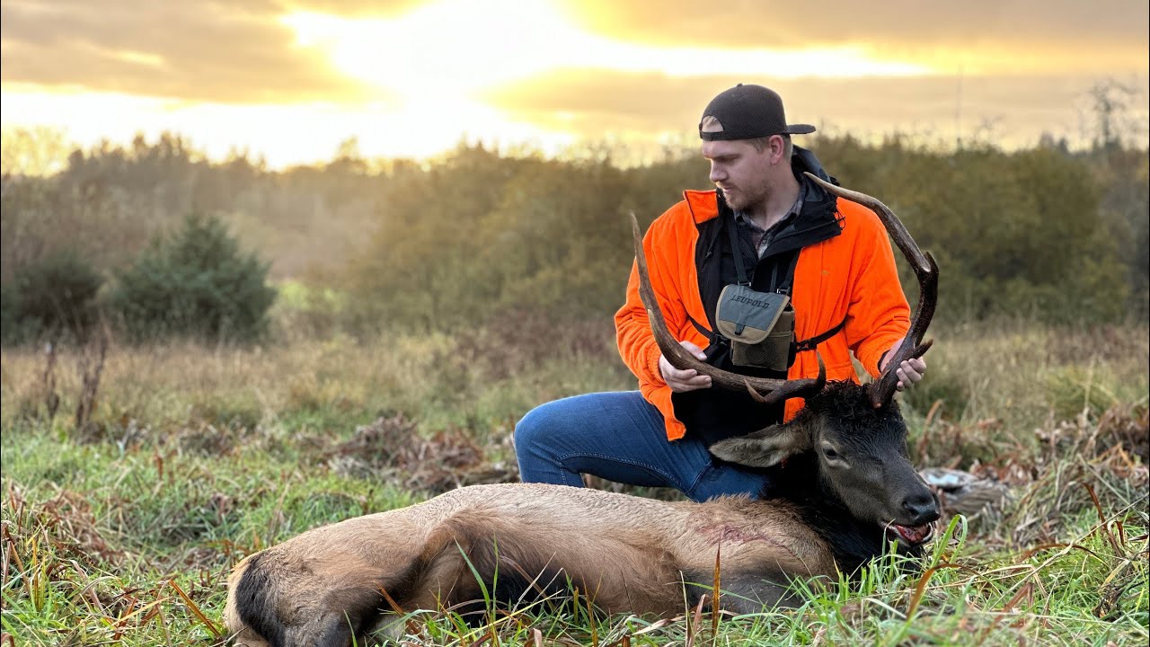 WESTERN WA ELK HUNT 2023!!!