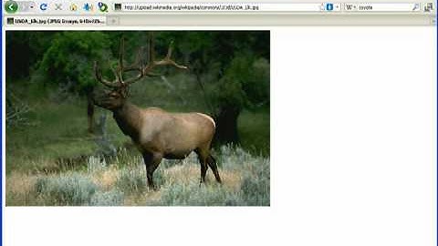 Making Scroll Saw Patterns with Inkscape - Lesson 5