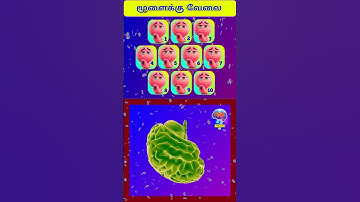 Memory Game 9 #memorygames#tamil #memorygame #memorytest #games #shorts