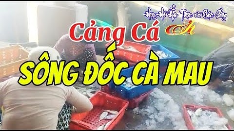 Cảng Cá Sông Đốc Cà Mau. Jony Đặng