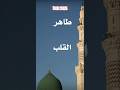 طاهر القلب نقي ذاكر لله بطيء طاهر القلب نقي ذاكر لله بطيء