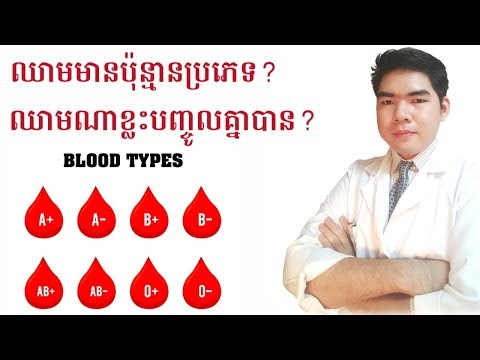 ប្រភេទឈាមណាខ្លះបញ្ចូលគ្នាបាន blood group type by Dr.Bun laysophea