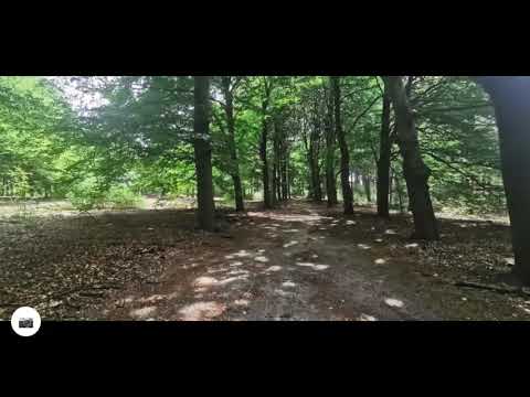 Driebergen-Zeist - Austerlitz - Maarn