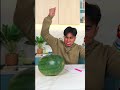 The Watermelon BROKE him @davidmatthew_  [BLOOPERS] #shortsfeed