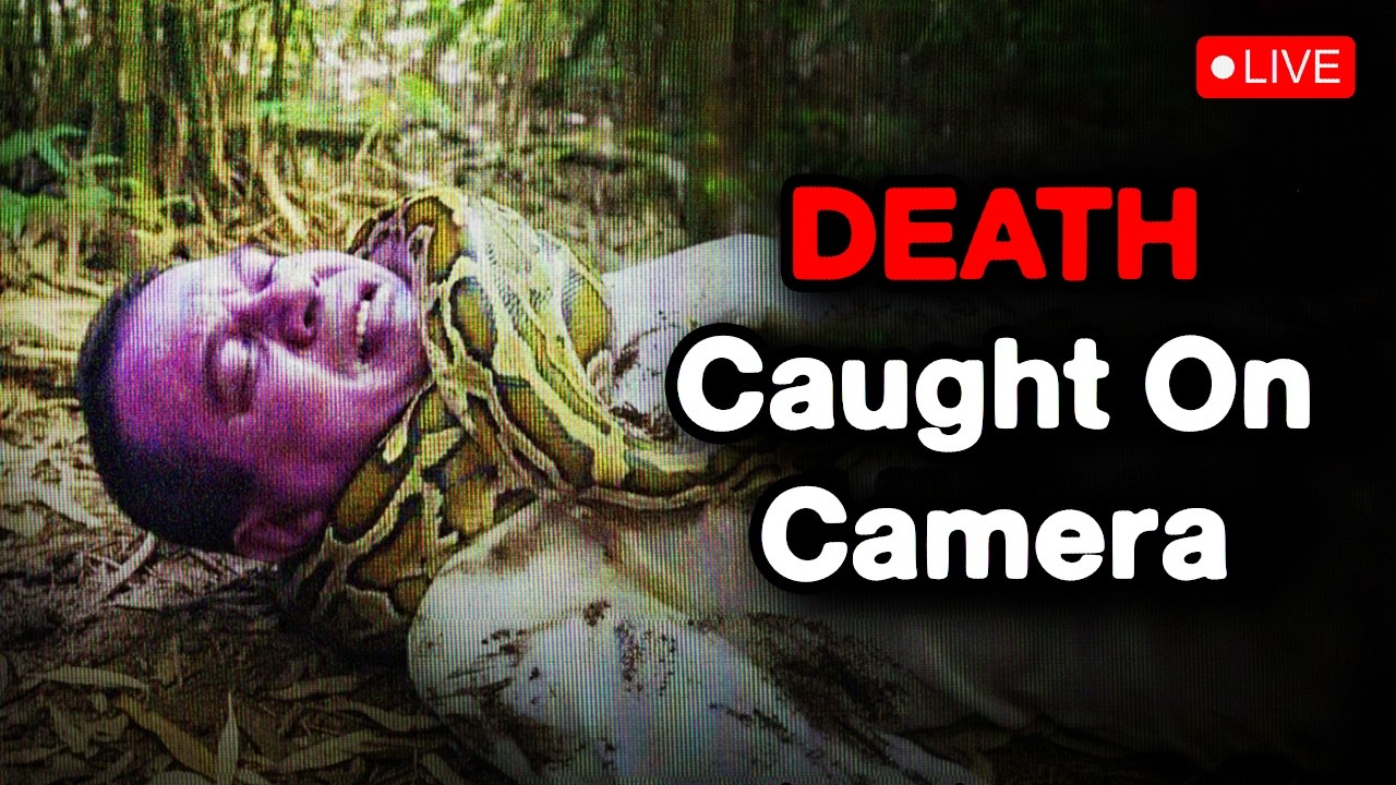 The Most DISTURBING Outdoors Disasters Ever Caught On Camera [Vol. 2 ...