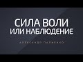 Сила воли или наблюдение. Александр Палиенко.