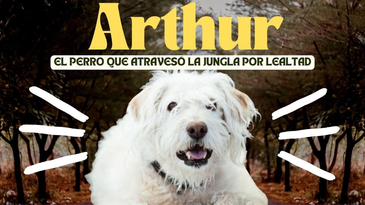 Arthur: el perro que atravesó la jungla por lealtad