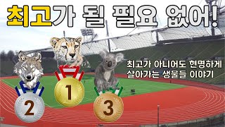 최고보다는 최선을![경쟁과 타협/적자생존/미래의 진화론]