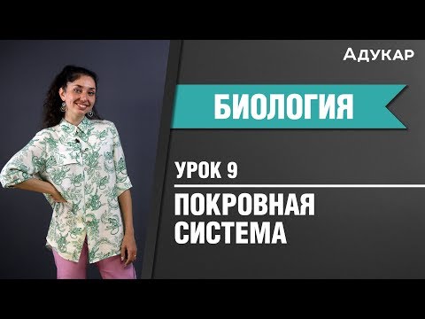 Покровная система человека| Биология ЦТ, ЕГЭ