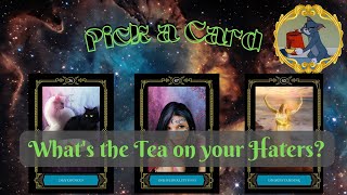 Pick a card🦄What's the TEA on your Haters\/Enemies?☕️😤