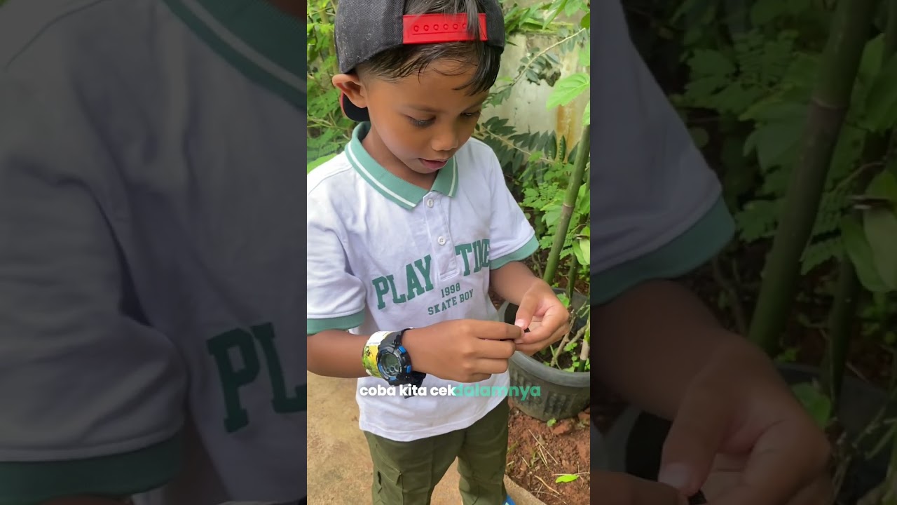 FULL VIDEO Reiner’s Journey Goes to Butterfly Garden at Aviary Park Bintaro