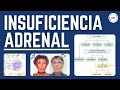 Insuficiencia Adrenal - Fisiopatología, Clínica, Diagnóstico, Tratamiento y Crisis Adrenal