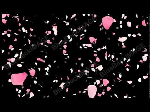 映像素材 動画素材 バラ 花びら Rose Petals D2m Youtube