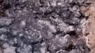 20201022(2). 香 -護法龍天