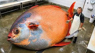 Giant Moonfish: Catch, Fillet & Cook β The Only Warm-Blooded Predator in the Ocean!