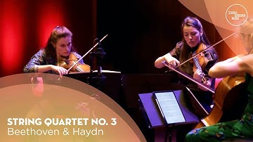Beethoven, Haydn: String Quartet No. 3 | Dostojevski Quartet | Live Concert TivoliVredenburg (2022)